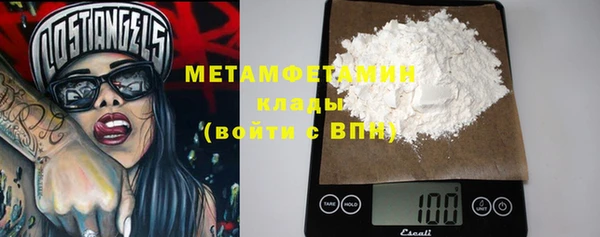 шишки Горняк