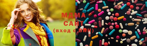 шишки Горняк