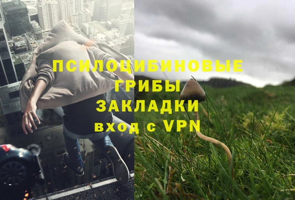 шишки Горняк