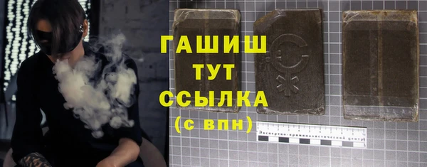 индика Щигры