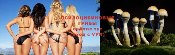 тгк Горнозаводск
