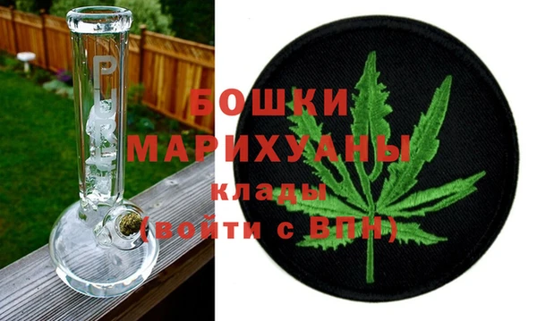 шишки Горняк