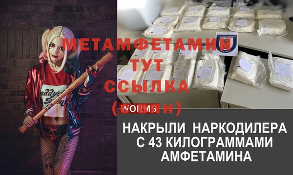 шишки Горняк