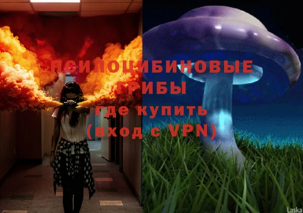 тгк Горнозаводск