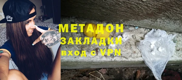 шишки Горняк