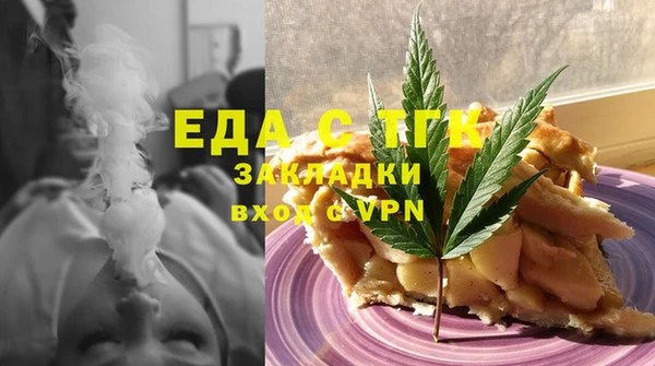 шишки Горняк