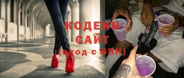шишки Горняк