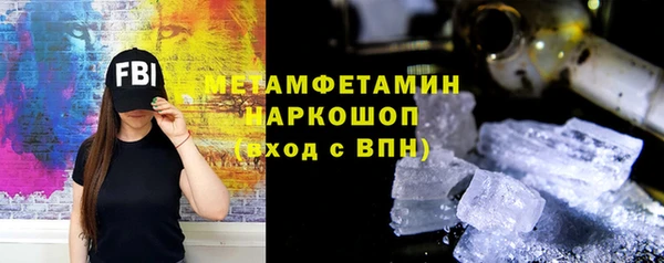 шишки Горняк
