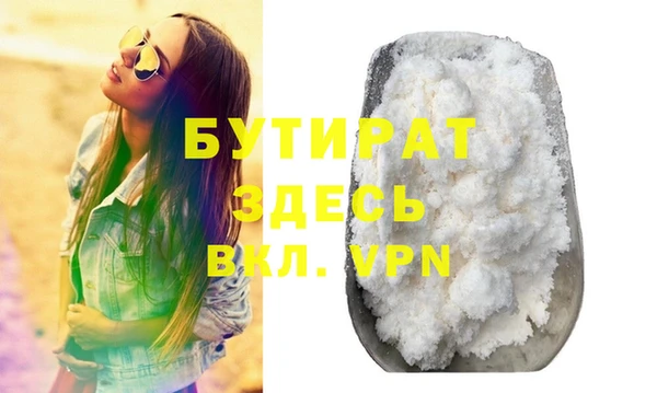 шишки Горняк