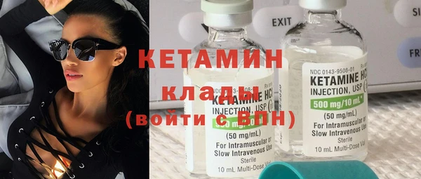 шишки Горняк
